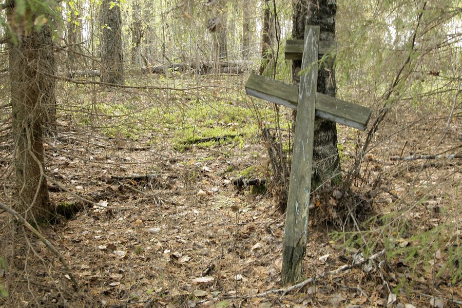Кресты в лесу на месте погребения «пожизенников» Кресты в лесу на месте погребения «пожизенников»