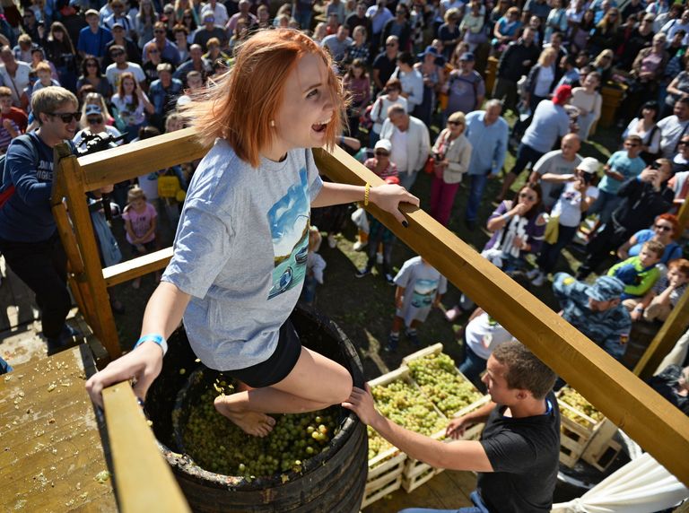 Участница конкурса Винодавильня на фестивале молодого вина WineFest в Балаклаве