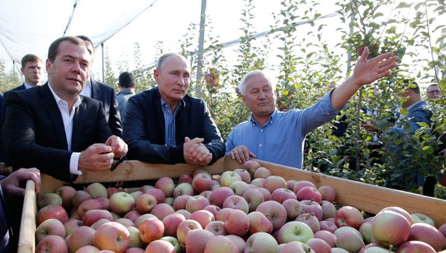 Рабочая поездка президента РФ В. Путина и премьер-министра РФ Д. Медведева в Ставропольский край Рабочая поездка президента РФ В. Путина и премьер-министра РФ Д. Медведева в Ставропольский край