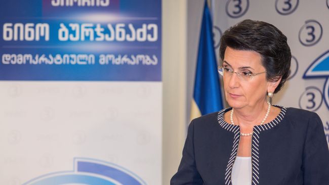 Нино Бурджанадзе во время пресс-конференции о политической ситуации в Грузии и предстоящих выборах главы государства