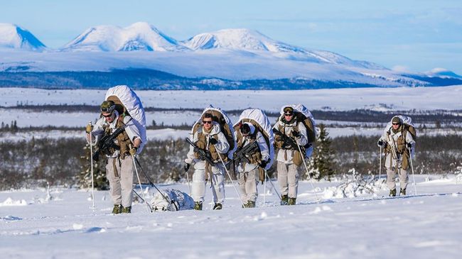 Норвежские военные