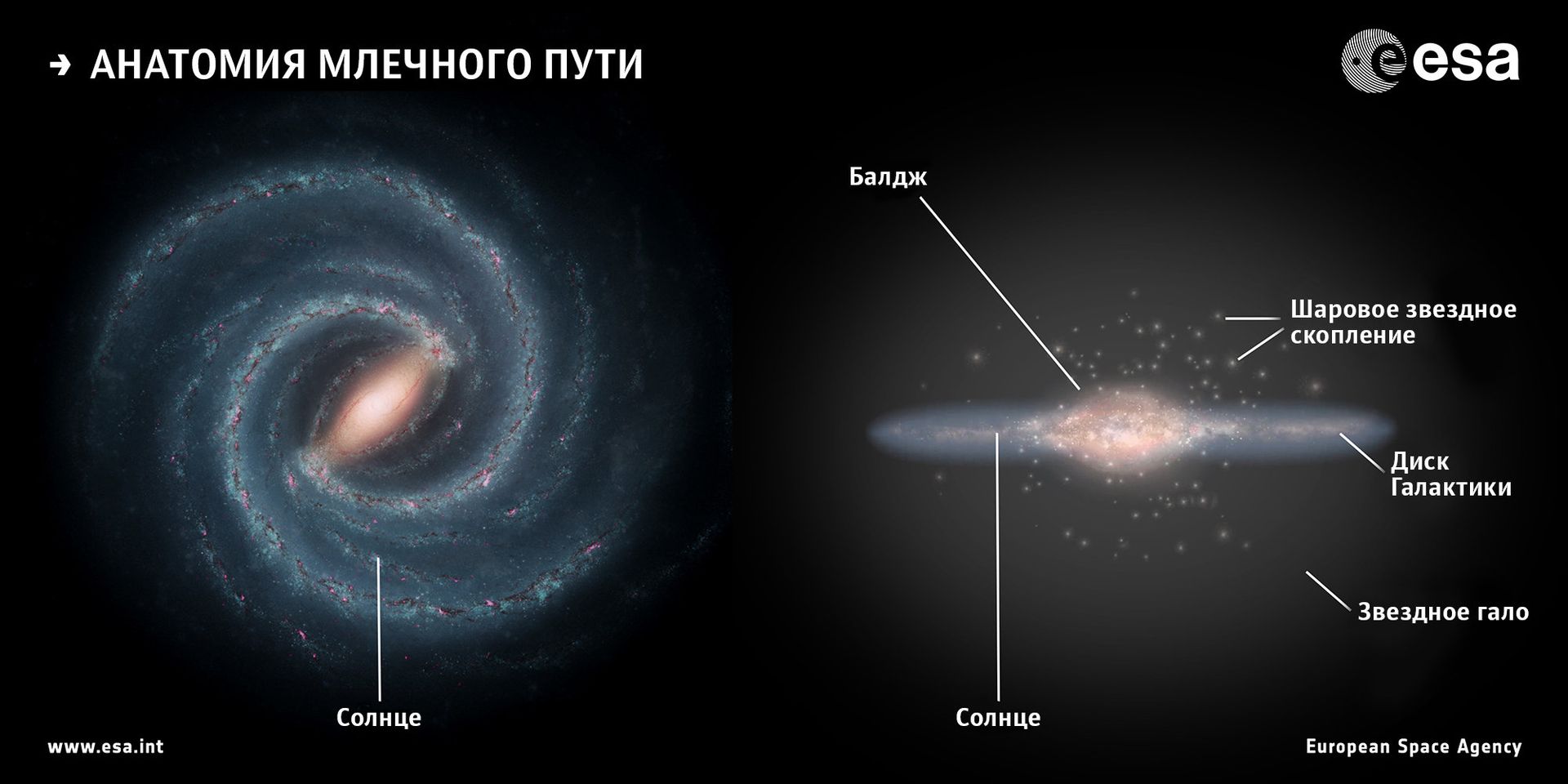 Анатомия Млечного Пути - РИА Новости, 1920, 23.12.2025