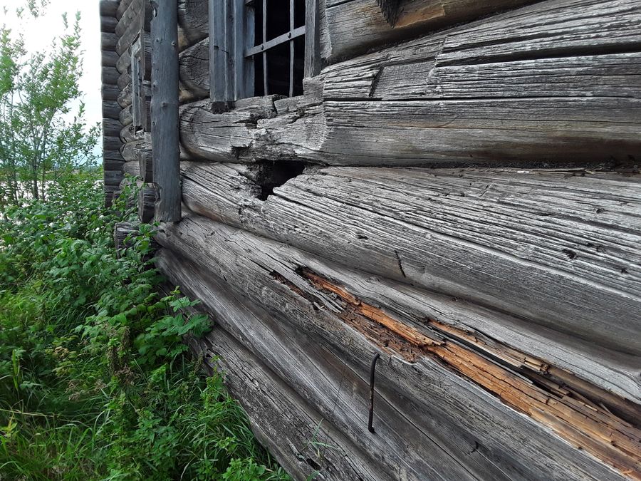 Церковь Василия Блаженного (1824 г.) в селе Чухчерьма Холмогорского района Архангельской области