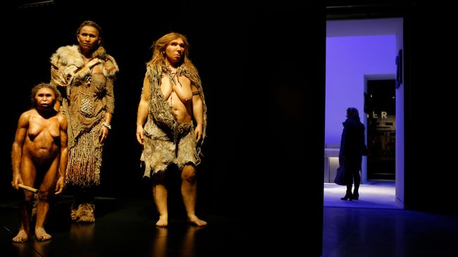 Фигуры человека флоресского, Homo sapiens и неандертальца Фигуры человека флоресского, Homo sapiens и неандертальца