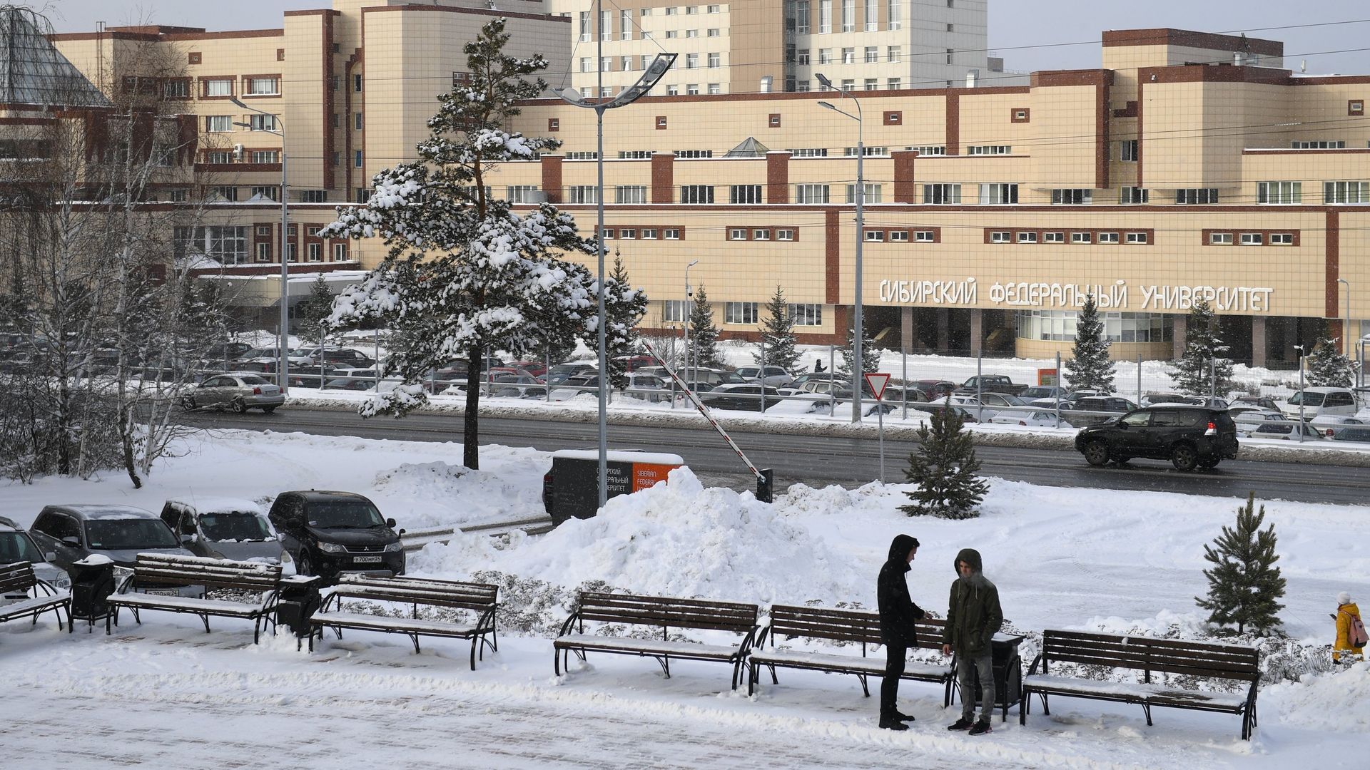 Комплекс зданий Сибирского федерального университета в Красноярске - РИА Новости, 1920, 10.01.2022