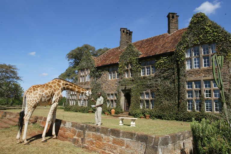 Отель Giraffe Manor в Кении Отель Giraffe Manor в Кении