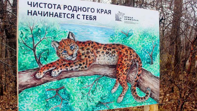 На Земле леопарда пройдет субботник