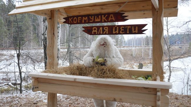 Кормушка для йети в Нязепетровском районе Челябинской области Кормушка для йети в Нязепетровском районе Челябинской области
