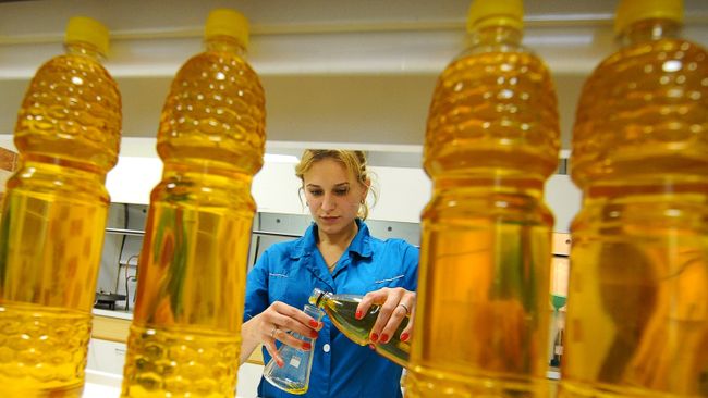 Лаборант производит анализ подсолнечного нерафинированного масла Лаборант производит анализ подсолнечного нерафинированного масла