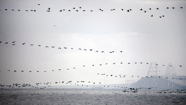 Судоходство в Керченском проливе Судоходство в Керченском проливе