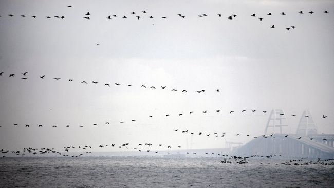 Судоходство в Керченском проливе возобновлено Судоходство в Керченском проливе возобновлено