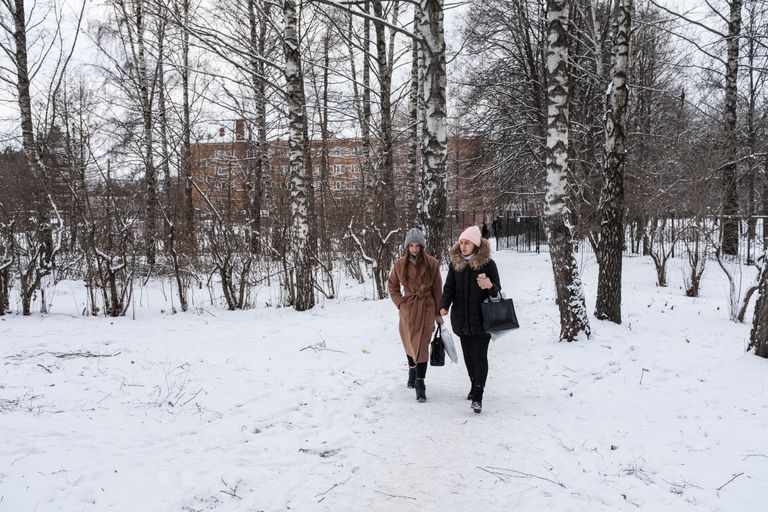 Роща 25-летия Победы в Звенигороде, которую удалось спасти от вырубки Роща 25-летия Победы в Звенигороде, которую удалось спасти от вырубки