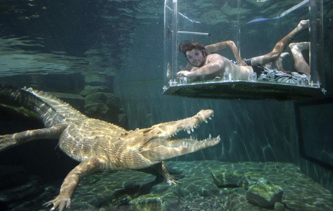 Природный парк развлечений Crocosaurus Cove в Австралии