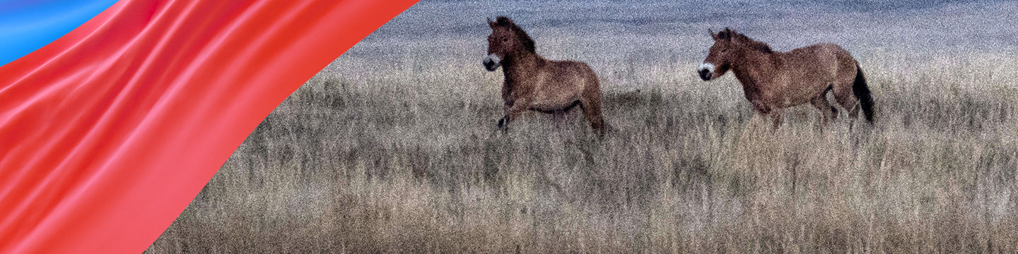 Оренбургская область Оренбургская область
