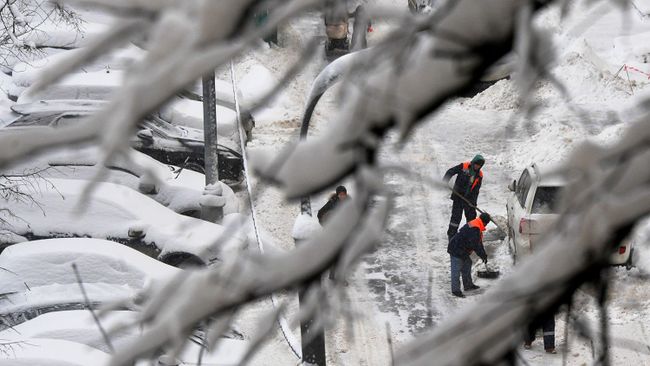 Сотрудники коммунальных служб убирают снег на дороге