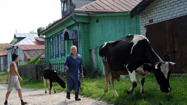 Вид на улицу в деревне