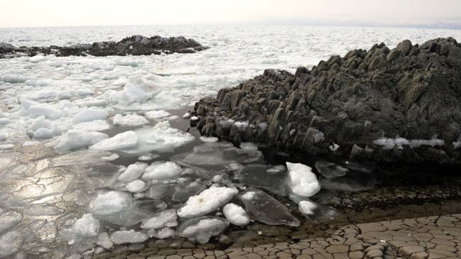 Лед на побережье Охотского моря Лед на побережье Охотского моря