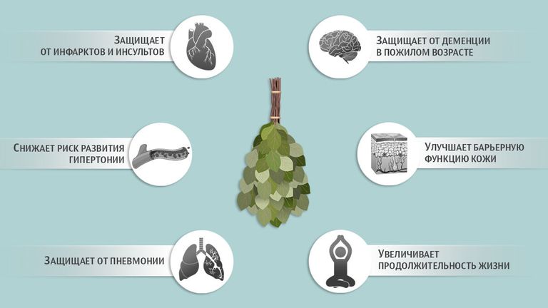 Польза бани Польза бани