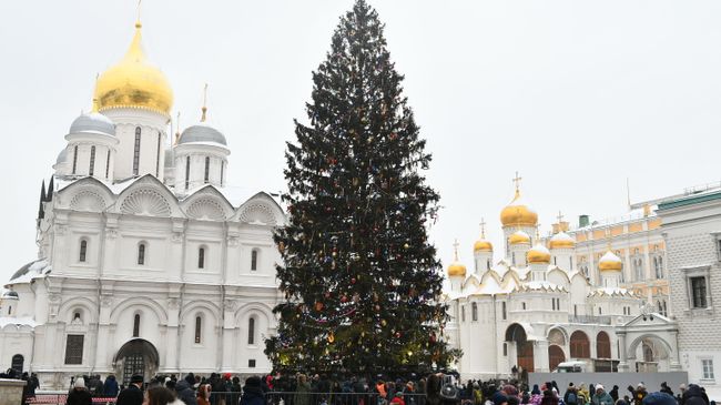 Новогодняя елка на Соборной площади Московского Кремля. Архивное фото Новогодняя елка на Соборной площади Московского Кремля. Архивное фото