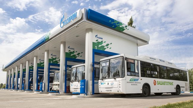 Автобусы