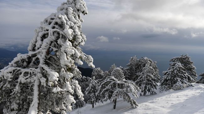 Зима в Крыму Зима в Крыму