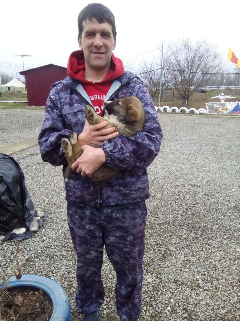 Дунаев в служебной командировке Дунаев в служебной командировке
