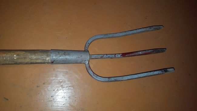 В Бурятии мужчина ранил ребенка и его бабушку вилами. 9 января 2109 В Бурятии мужчина ранил ребенка и его бабушку вилами. 9 января 2109