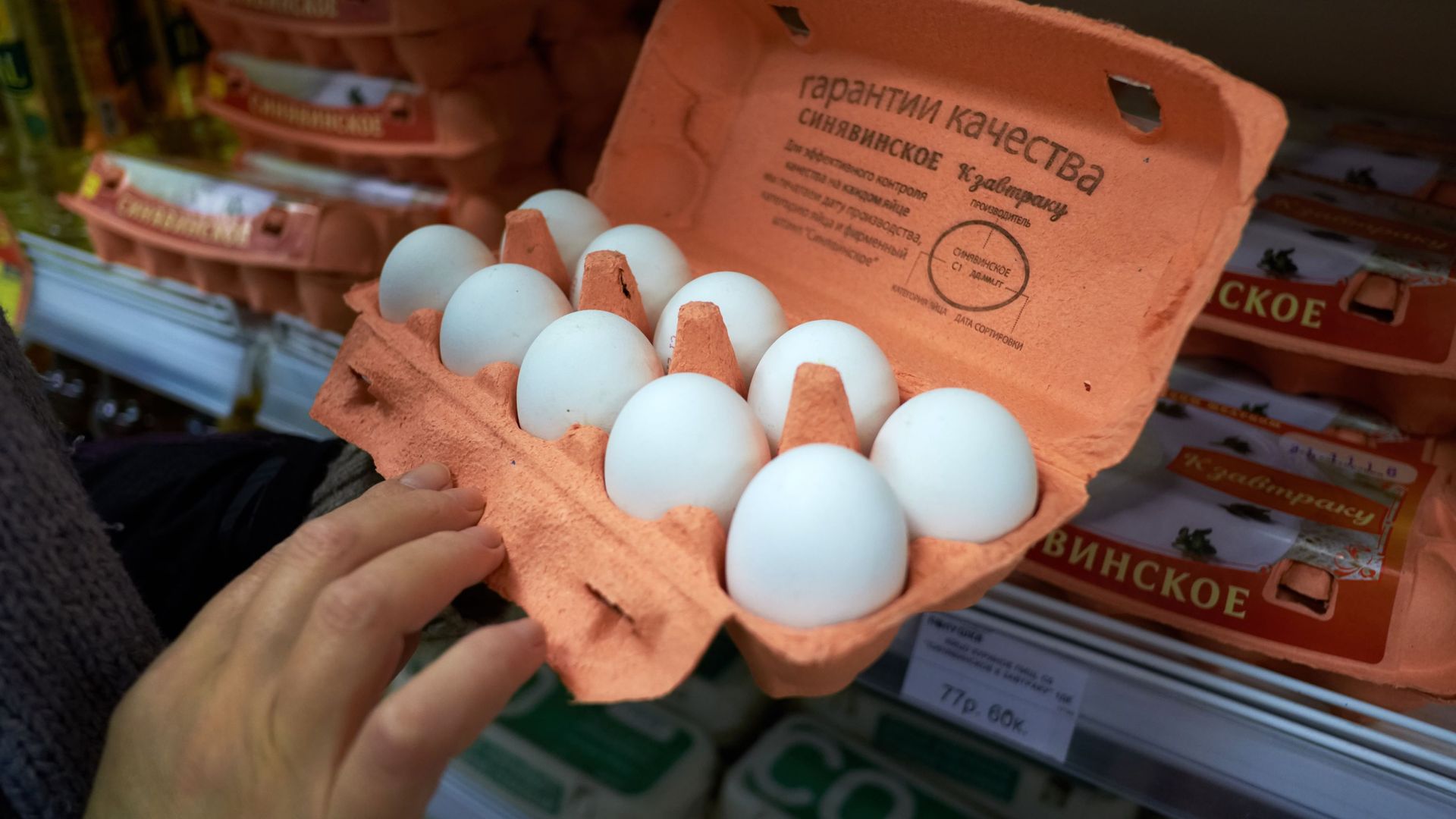 Куриные яйца в продуктовом магазине Куриные яйца в продуктовом магазине - РИА Новости, 1920, 10.10.2025