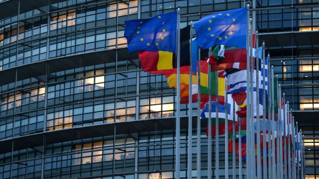 Флаги европейских государств перед зданием Европейского парламента в Страсбурге Флаги европейских государств перед зданием Европейского парламента в Страсбурге