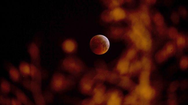 Лунное затмение в небе над Антверпеном, Бельгия Лунное затмение в небе над Антверпеном, Бельгия