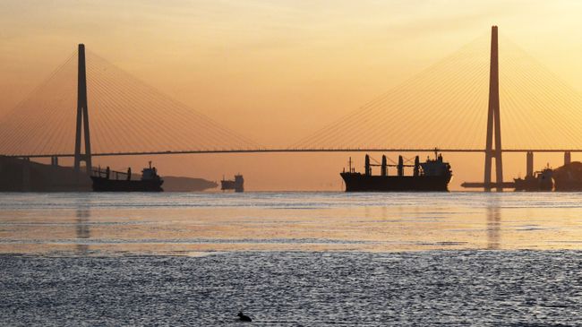 Вид на Русский мост во Владивостоке. Архивное фото Вид на Русский мост во Владивостоке. Архивное фото