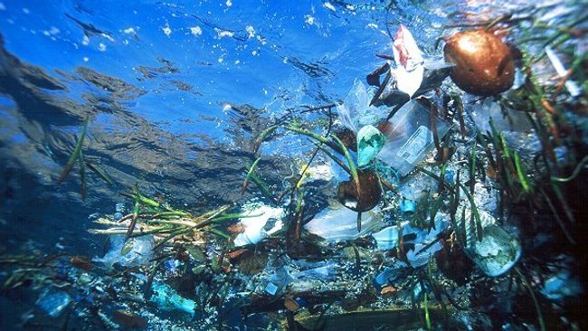 Плавающий в воде мусор. Архивное фото Плавающий в воде мусор. Архивное фото