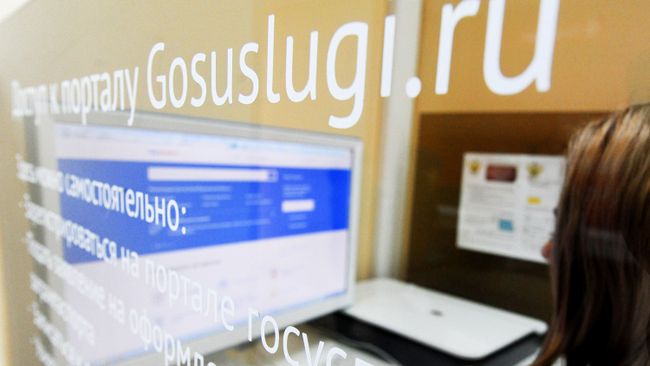 Посетитель МФЦ в зоне доступа к единому порталу государственных услуг