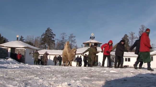 Массовый обряд Жэн тэнгэри яба байкальских шаманов из организации Хухэ Мунхэ Тэнгэри (Вечно синее небо) Массовый обряд Жэн тэнгэри яба байкальских шаманов из организации Хухэ Мунхэ Тэнгэри (Вечно синее небо)