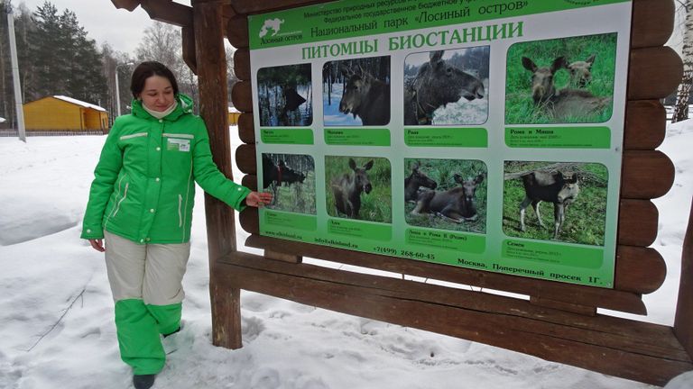 Экскурсия на биостанции Лосиного острова Экскурсия на биостанции Лосиного острова