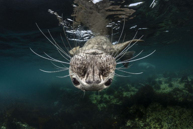 Greg Lecoeur. Первое место национальной номинации фотоконкурса Sony World Photography Awards Greg Lecoeur. Первое место национальной номинации фотоконкурса Sony World Photography Awards