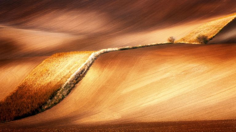 Radoslav Cernicky. Победитель национальной номинации фотоконкурса Sony World Photography Awards 2019 Radoslav Cernicky. Победитель национальной номинации фотоконкурса Sony World Photography Awards 2019