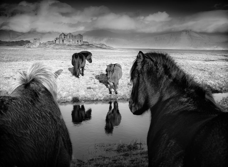 Baerbel Brechtel. Первое место национальной номинации фотоконкурса Sony World Photography Awards 2019 Baerbel Brechtel. Первое место национальной номинации фотоконкурса Sony World Photography Awards 2019