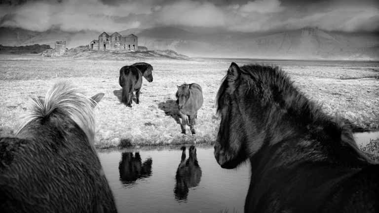 Baerbel Brechtel. Первое место национальной номинации фотоконкурса Sony World Photography Awards 2019 Baerbel Brechtel. Первое место национальной номинации фотоконкурса Sony World Photography Awards 2019