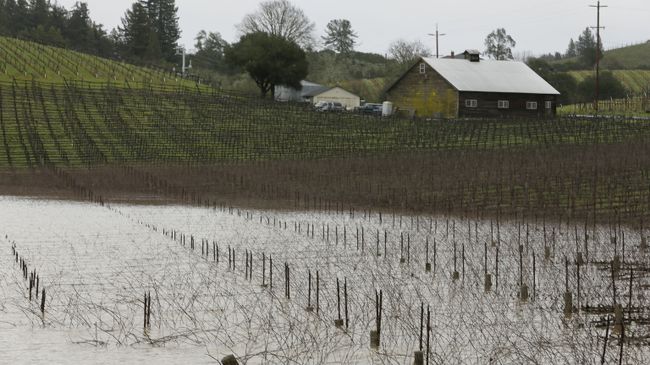 Река Русская затопила город в Калифорнии Река Русская затопила город в Калифорнии