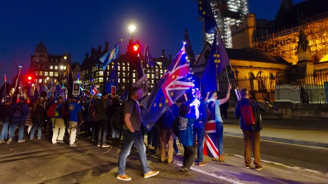 Участники акции против Brexit в Лондоне Участники акции против Brexit в Лондоне