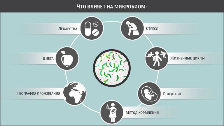 Микробиом человека