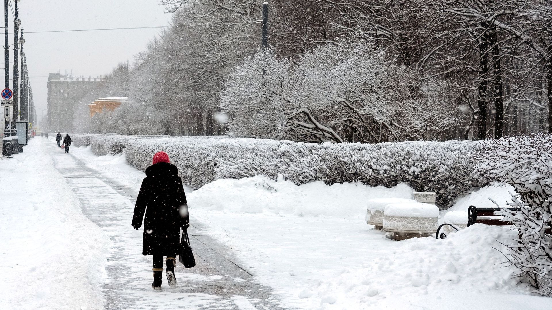 Снегопад в Санкт-Петербурге Снегопад в Санкт-Петербурге - РИА Новости, 1920, 18.09.2020