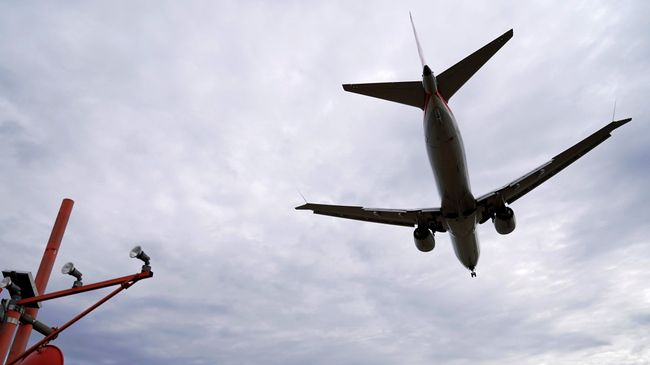 Самолет авиакомпании American Airlines Boeing 737 MAX 8 Самолет авиакомпании American Airlines Boeing 737 MAX 8
