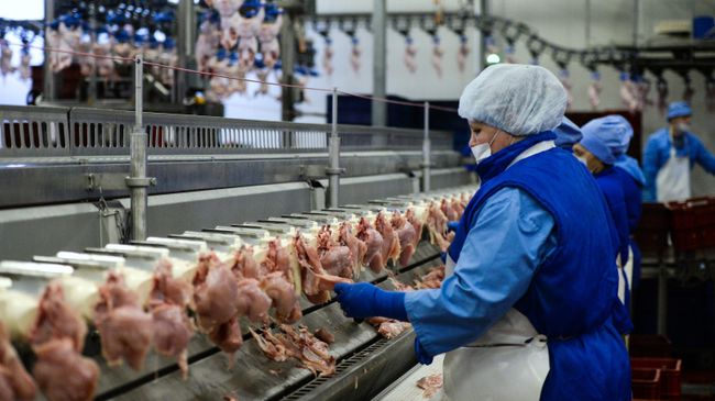 Сотрудницы в разделочном цехе на птицефабрике Октябрьская в Новосибирской области