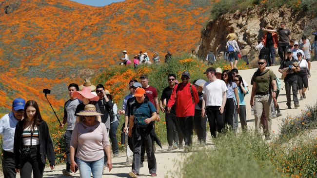 Туристы в Walker Canyon в Калифорнии Туристы в Walker Canyon в Калифорнии