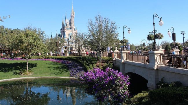 Disney World в Орландо, США Disney World в Орландо, США