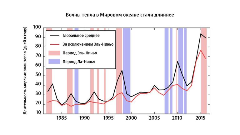 Волны тепла в Мировом океане Волны тепла в Мировом океане