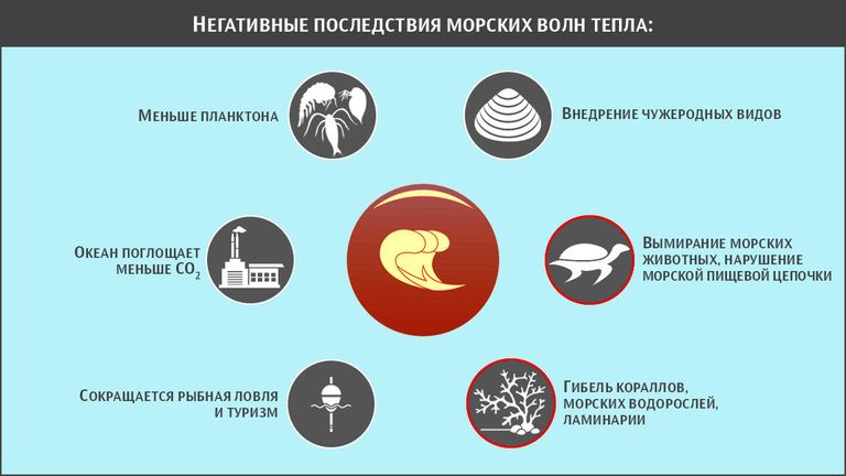 Негативные последствия морских волн тепла Негативные последствия морских волн тепла