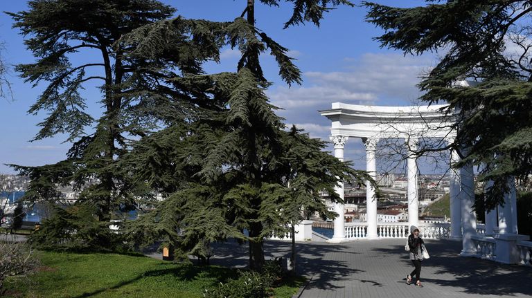 Девушка у Ротонды в Севастопольской бухте Девушка у Ротонды в Севастопольской бухте